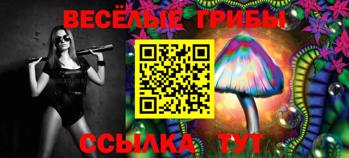Псилоцибиновые грибы Psilocybine cubensis Ивантеевка