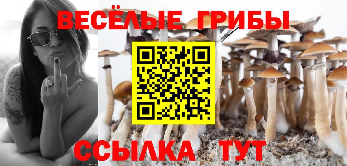 Галлюциногенные грибы прущие грибы  Галлюциногенные грибы мухоморы  Вход с VPN  Ивантеевка 
